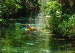 Person kayaking through Floriday waterway